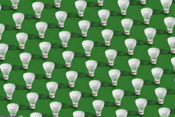 后浪体育篮球培训机构(图1)