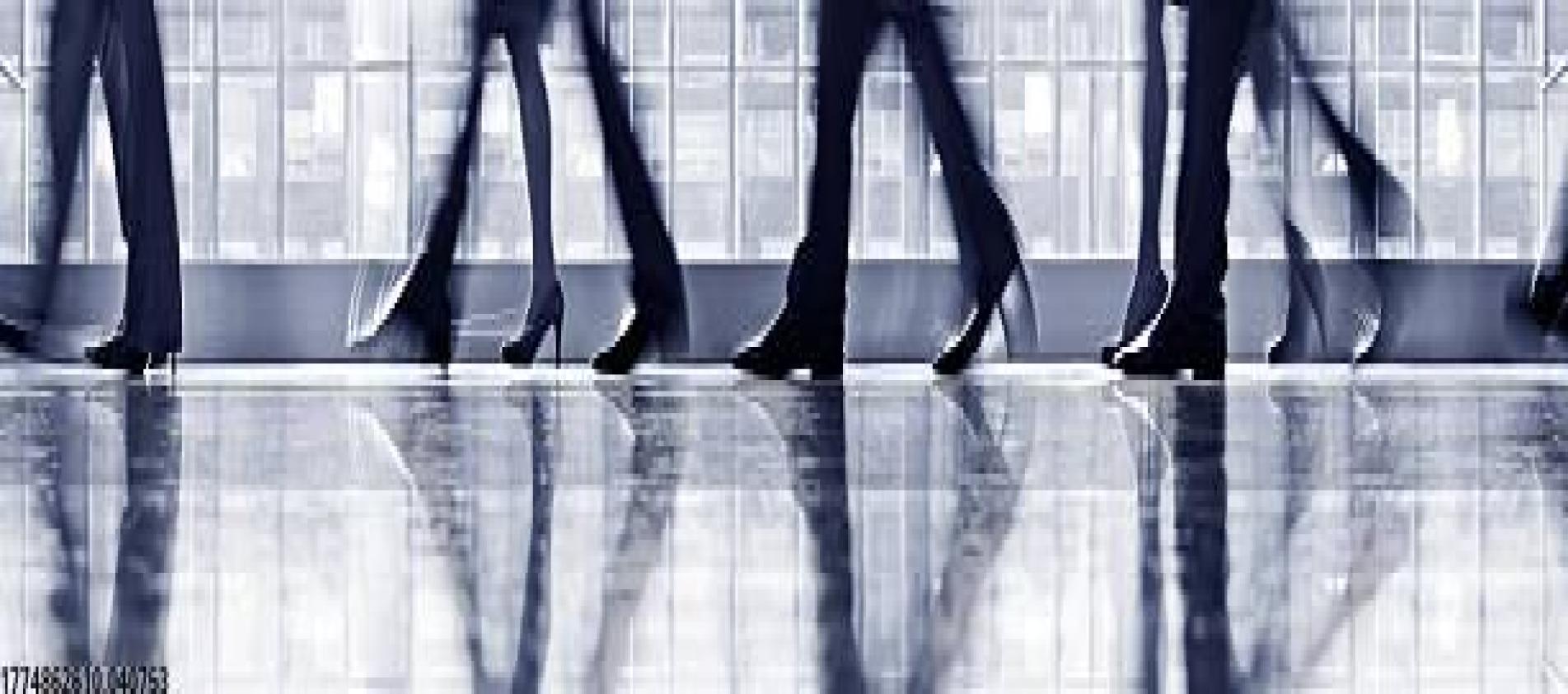 数据分析支持专业决策